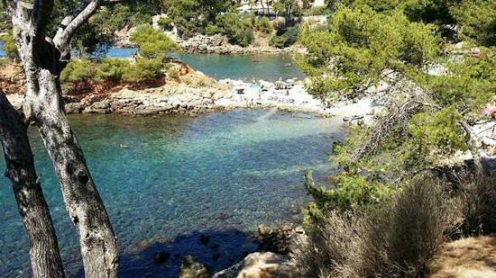 Maisonnette Kalis Calme Avec Climatisation Parking Jardin Cadre Campagne Plages A Pieds Bandol Exterior photo